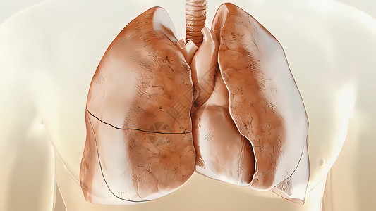 充氧动脉立体的高清图片