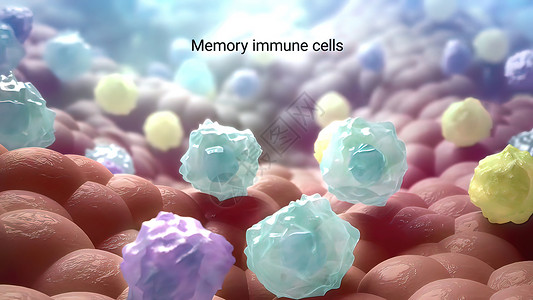 内存T细胞摧毁被感染的细胞免疫系统宏观渲染免疫学抗体毒性单细胞细胞因子作用分子背景图片