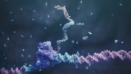 高分子物理化学3d 表示单一直线肋膜酸的示例 RNA 研究和治疗监视器科学警报化学健康核苷酸屏幕顺序基因克隆背景