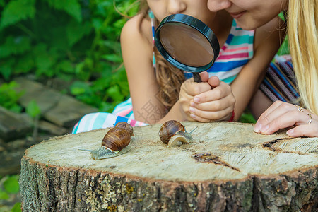 蜗牛与幸运女孩孩子检查了树上的蜗牛 有选择地集中注意力女孩昆虫横幅乐趣玻璃青年童年植物学男生放大镜背景
