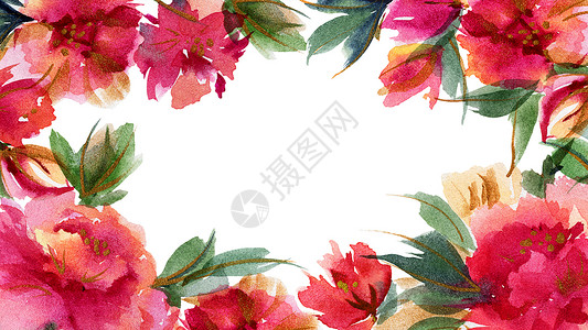 牡丹图案粉红小松鼠植物水彩色背景棉布插图卡片墙纸领导问候语植物学印花正方形花园背景