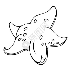手画黑白海星的涂鸦素描图手绘野生动物成人白色水族馆草图图形插图染色荒野背景图片