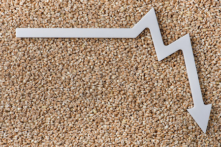 禁止鸣笛指向标小麦进口 减少小麦和谷物的进口 世界粮食危机 禁止进口粮食和农产品收成生产金融贸易农业商业价格国家产品企业背景
