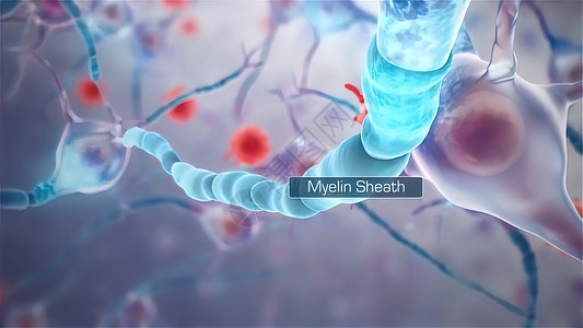 神经细胞销毁器多螺旋化激素化学保健细胞生物学科学解剖学轴突医学人体图片