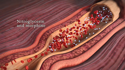 尼古丁会提高血压主动脉阀门学校肌肉心电图静脉教程中庭动脉图表背景图片