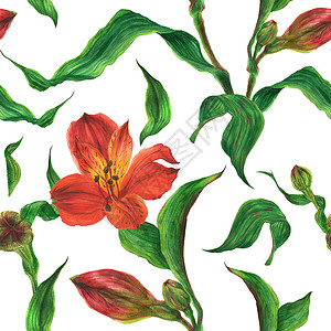 百合花纹水彩色无缝模式 有红白藻蕾和鲜花树叶水彩投标植物学香气表面工艺品手绘热带植物背景