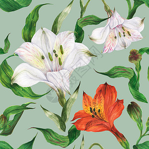 标题图案香花水彩色 无缝模式 有红白白的青春花花和花蕾背景