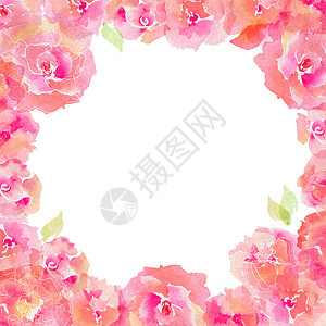 肉粉色水彩花朵花环花花广场和带玫瑰的贺卡花瓣异国植物菜单植物学水彩树叶边界蓝色花园背景