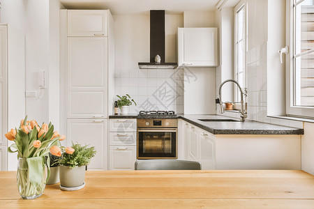 HOLD住轻型家用厨房的现代家具日光房间财产装设器具风格窗户公寓兜帽橱柜背景