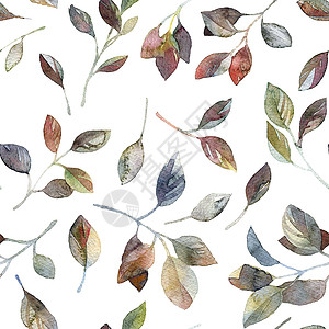 手绘枝条叶子水叶颜色形态水彩插图手绘花园季节刷子树叶叶子艺术植物背景