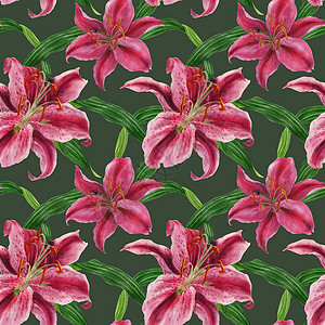 水彩色无缝模式水彩香气星星植物学观星者植物群百合纺织品粉色热带背景图片