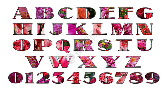 掸尘字体图片花的图片按字母顺序使用背景