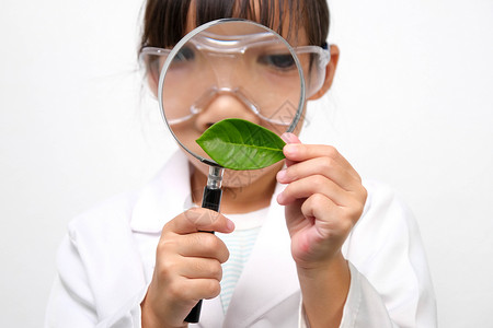 一个戴着眼镜的小女孩的画像 拿着放大镜 看着身穿白色背景的研究员或科学制服的树叶 小科学家实验室学习孩子小学生学校角色教育学生药背景图片