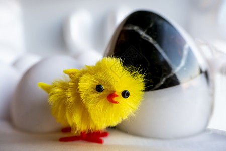 玩具鸡鸡蛋盒中的煮鸡蛋鸡 在鸡蛋背景的人造鸡快乐乐趣眼睛羽毛纸盒传统动物食物饮食新生背景