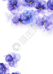 三色堇元素紫花色花朵艺术宏观野花邀请函花园绘画荒野中提琴水彩框架背景