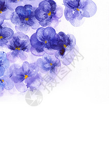 蓝色水彩花紫花色花朵紫色框架艺术邀请函荒野三色水彩植物群自由思想绘画背景