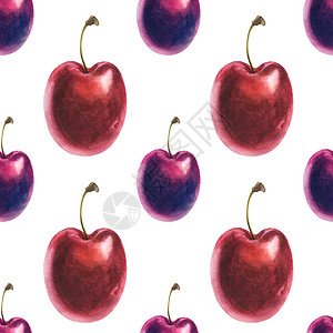 樱桃水彩水彩插图 白色背景的新鲜樱桃李子植物学饮食植物食物季节沙漠浆果艺术水果甜点背景