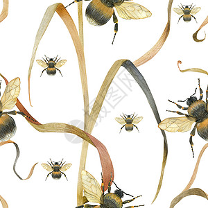 水彩蜜蜂大黄蜂和草地植物 水色无缝水彩森林明信片插图野生动物翅膀动物墙纸收藏热带背景