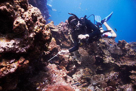 让环保先行让我们看看那个洞里住着什么 年轻人斯库巴在美丽的珊瑚礁上潜水背景