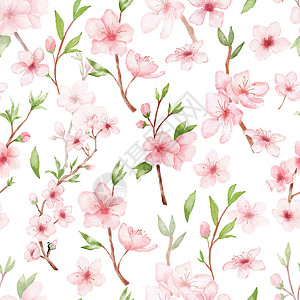粉色水彩花朵樱花分水分 白后草原上彩色无缝图案 日本花朵背景
