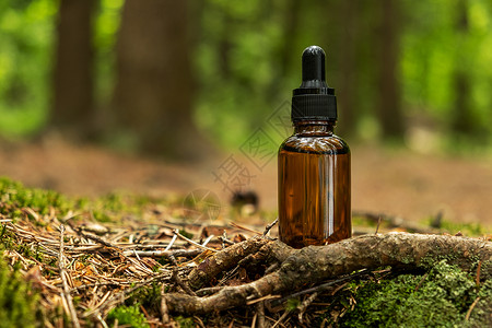 代用品容器位于天然森林背景 a 木材精华素玻璃液体温泉美容吸管皮肤瓶子洗剂草药背景图片