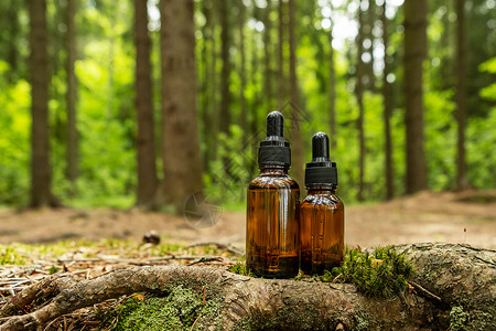 森林瓶子代用品容器位于天然森林背景 a 木材护理产品草药玻璃美容治疗温泉洗剂苔藓商品背景
