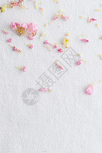 flowers花粉花在白色背景上的花朵模式 Flowers 风格纹理花卉热情庆典树叶框架墙纸粉色圆形植物问候语背景