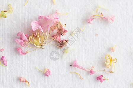 flowers花粉花在白色背景上的花朵模式 Flowers 风格纹理花瓣墙纸树叶热情圆形问候语庆典植物粉色框架背景