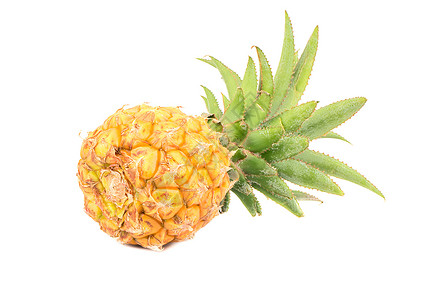 孤立的菠萝微型水果菠萝热带婴儿异国情调黄色食物白色圆圈饮食绿色背景