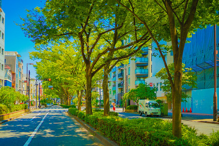 草原是新鲜绿色蓝蓝天空叶子城市蓝天树木景观绿叶图片