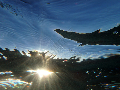 水下太阳光图片