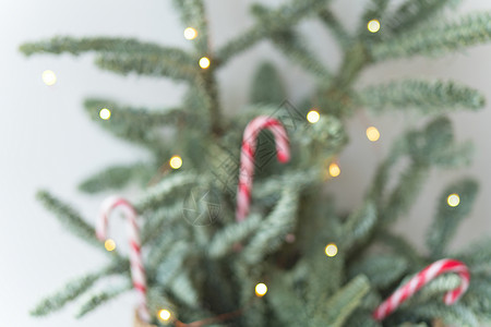 用拐杖糖和模糊背景上的灯装饰的圣诞树 为 2023 年圣诞节和新年做准备 铭文的地方背景图片