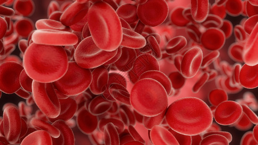 血液细胞通过动脉或静脉流出3度解剖学诊所生物学实验室显微镜健康粒子感染药品形态学背景图片