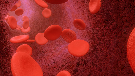 生物脂类血液细胞通过动脉或静脉流出3度系统宏观药品白细胞循环血管免疫学感染科学实验室背景