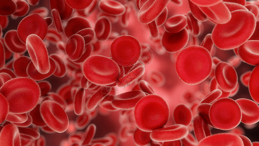 血氧结合血液细胞通过动脉或静脉流出3度红细胞血流解剖学宏观显微镜药品健康脂类血液学系统背景
