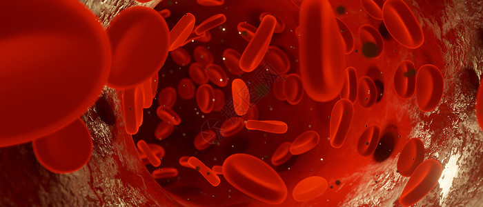 血氧计红血细胞以血管全景模式移动 3D造型背景