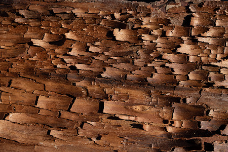 对于施工而言树皮图案是一种无缝的木质纹理 对于背景木工而言 棕色硬木皮木板裂缝桌子环境植物粮食木头森林松树地面背景