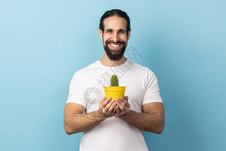 微笑仙人掌盆栽高兴的留着胡子的男人拿着黄色的花盆和仙人掌 带着露齿的微笑看着相机背景