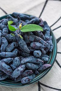 布鲁哈斯蓝蜂蜜或哈斯卡白莓 夏季水果 天然有机健康生态食品 选择性重点蓝色盘子亚麻季节帆布环保织物甜点餐巾桌布背景