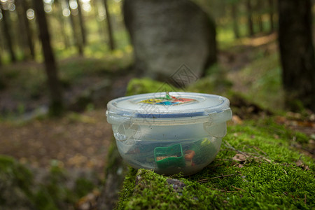 树林中的地球焦土容器高清图片