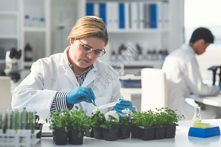 治愈方法可能就是大自然本身 一位迷人的年轻女科学家在实验室里与她的同事一起在实验室里研究植物背景图片