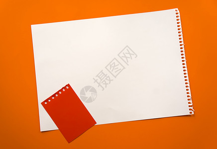 纸销一张空白的纸空间 用于在美丽的橙色背景红色记事本纸上设计和刻字 从记事本上撕下的穿孔纸斜躺在表面上 方形纸杯子桌子植物横幅女士销背景