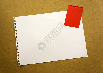 纸销一张空白的纸空间 用于在漂亮的工艺背景红色记事本纸上设计和刻字 从记事本上撕下的穿孔纸斜躺在表面上 方形纸女孩女士杯子植物叶子销背景