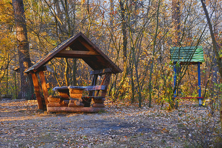十月一台历桌签秋天野餐 在森林清扫的露营林木丁夜总会背景