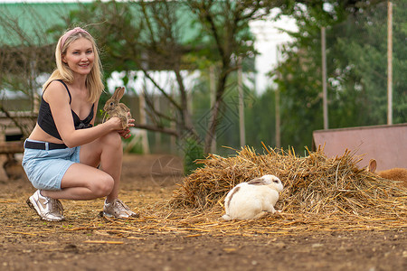 提要褐色的母兔子养活了复活节兔子白毛发健康 概念组坐从快乐 从杂草家庭 野生的眼睛背景