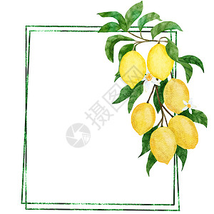 手绘单支桃花水彩手绘制了黄柠檬和绿叶的架子海报 夏季水果柑橘边界与现代最低亮光线的结婚卡邀请单 自然设计图示等 并配有现代微薄闪光线横幅花圈背景