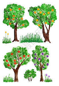果树元素水彩手绘插图果园果树 农场收获 绿叶有机食品与草丛树枝 黄红的苹果 李子 赫尔斯 自然天然森林木材图片剪贴画背景