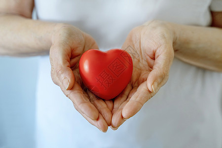 祖母手捧红心 医疗保健 爱 器官捐赠 正念 幸福 家庭保险和 CSR 概念 世界心脏日 世界卫生日 国家器官捐赠日家庭日机构志愿背景图片
