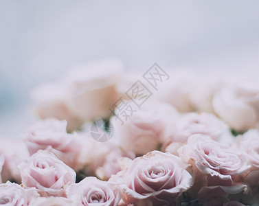 玫瑰邀请函玫瑰花束婚礼 假日和花园风格的概念新娘植物群假期仪式卡片花束花朵植物问候语植物学背景