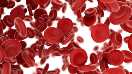 3D 血细胞通过动脉在白色背景上飞行生物学诊所微生物学疾病粒子免疫学流动形态学解剖学静脉背景
